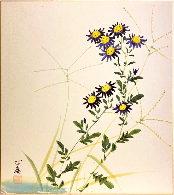 坪内正庵『小菊』色紙絵