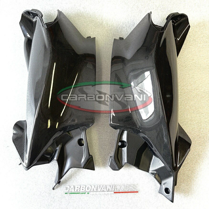 CARBONVANI カーボンバーニ DUCATI V4S 2025 サイドパネル 左右セットドゥカティ