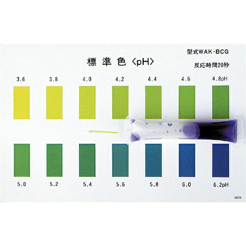 パックテスト pH 50ヶ入(反応時間：20秒) WAK-pH