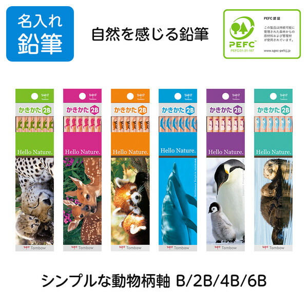 楽天市場】小学校で使われる 硬筆かきかた鉛筆 2B 1ダース 12本入 シルバー/銀軸 かきかたえんぴつ - メール便対象 : 絵画材料と文房具のお店  画材本舗