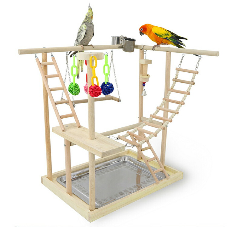 木製 鳥用スタンド バケツ付き 木製 鳥用スタンド バケツ付き 楽天市場】スタンド 鳥用パーチ