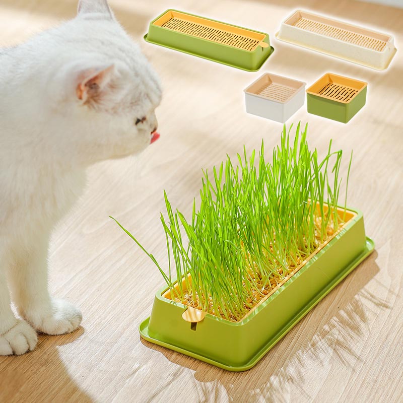 スーホルム　ネコ　2匹セット スーホルム ネコ 2匹セット Amazon.co.jp: Zoomer Kitty