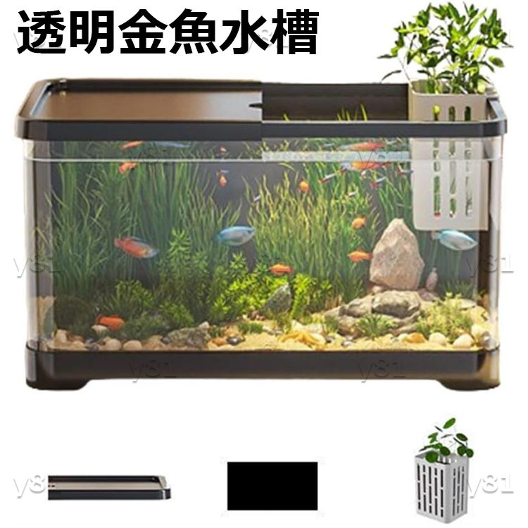 アクアリウム　水槽セット 71JX-ABVO-L._AC_SY200_QL15_.jpg