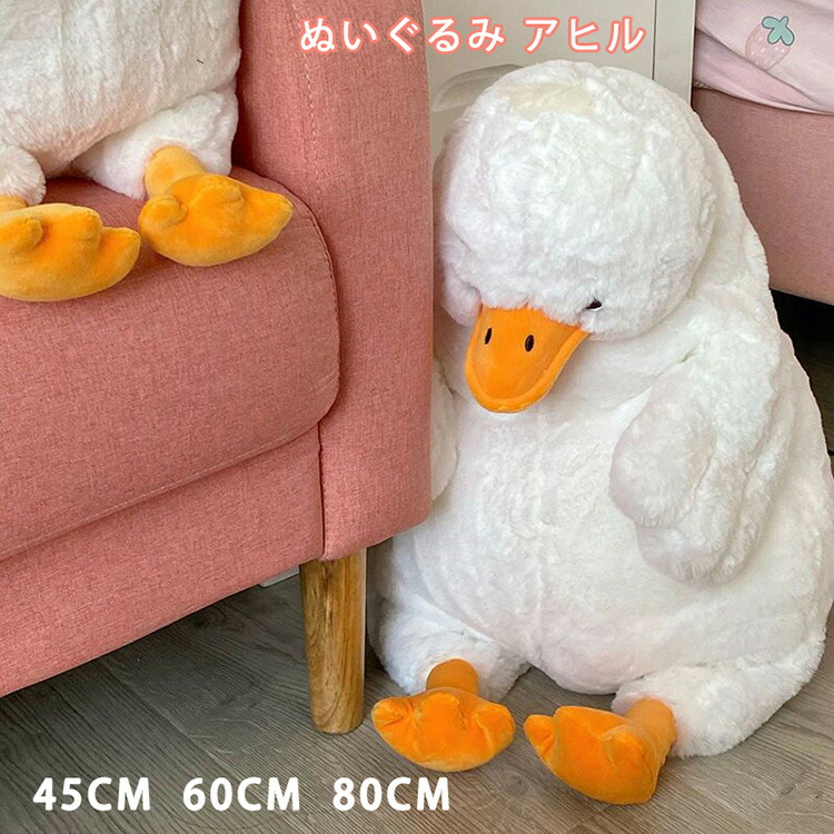 y487477.jpg