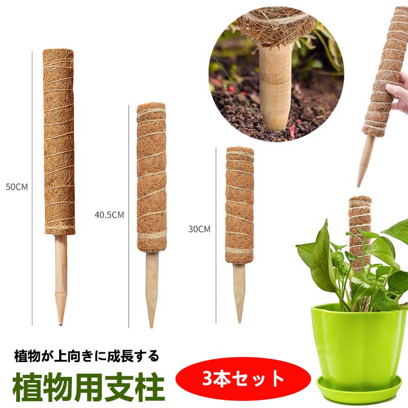 IMAMA 木製シールド型支柱 観葉植物用 楽天市場】【送料無料】観葉植物
