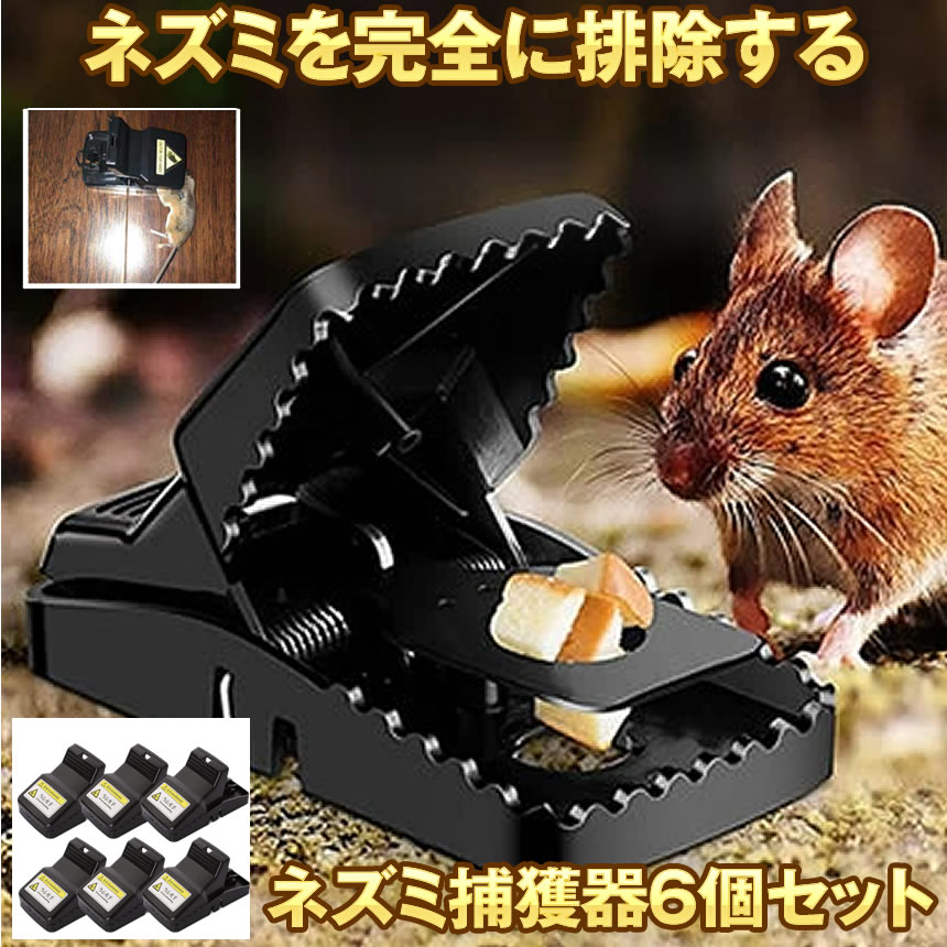 ねずみ m-ki0702-10a-10.jpg