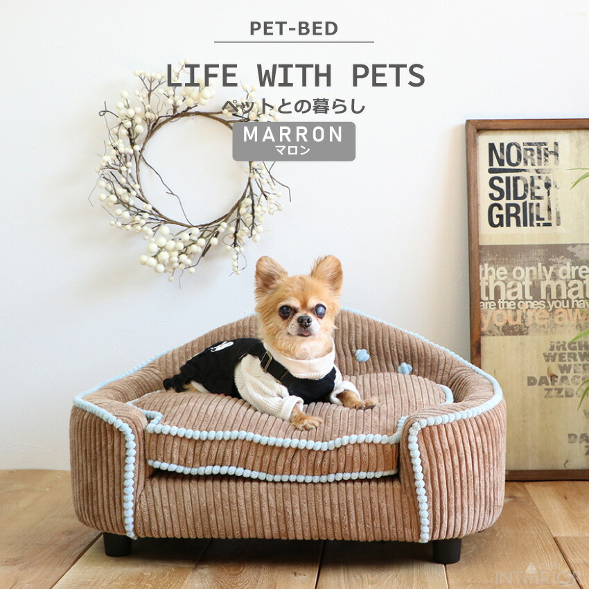 楽天市場】ペット ベッド ふわふわ ソファ ソファー ソファーベッド