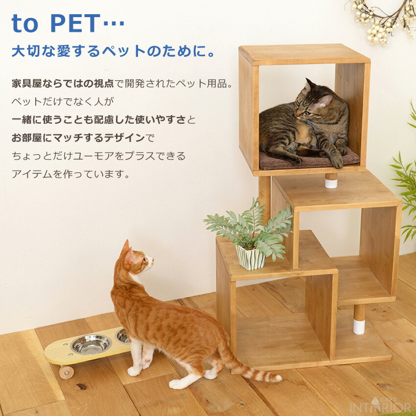 打ち付け3周年メモリー例外的引き換え証離れ離れ中ごろ 7/20まで 貨物