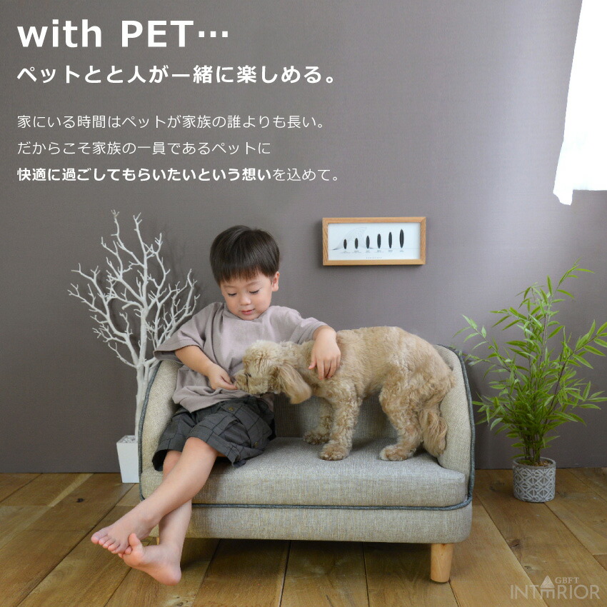 おすすめ特集 ペット ベッド ふわふわ ソファ ソファー ソファーベッド ペット用ソファー 犬 猫 小型犬 室内犬 合皮 Pvc かわいい 犬用 猫用 子供 ペットファニチャー ペット家具 ペペ インスタ映え Pet Sns Instagram 送料無料 Dukeanddevines Com