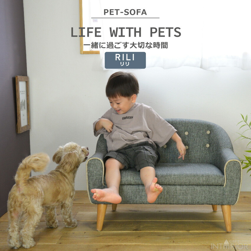 ペット ベッド ふわふわ ソファ ソファー PVC ソファーベッド ペット用ソファ 犬 猫 小型犬 室内犬 かわいい 犬用 猫用 リリ SNS インスタ映え Instagram 【送料無料】GB-INTE-0473｜Pure Luxe公式ショップ 14,400円