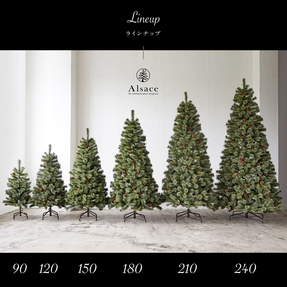 Alsace(R)公式 クリスマスツリー 120cm 豊富な枝数 2024ver. 樅 高級