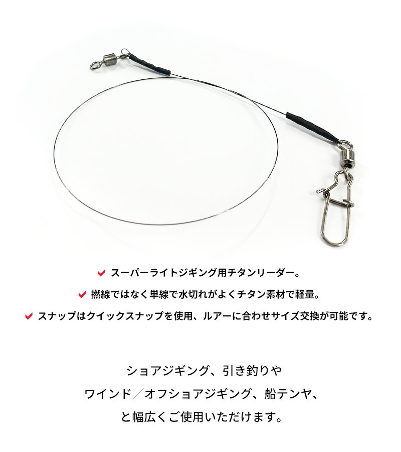 太刀魚 ジギング 2本入り 25cm オフショアジギング サゴシ サワラ ストレート スーパーライトジギング タチウオ チタンリーダー ヒラメ フィッシング リーダー ワイヤー 椚 船テンヤ 釣り糸 半額sale ワイヤー