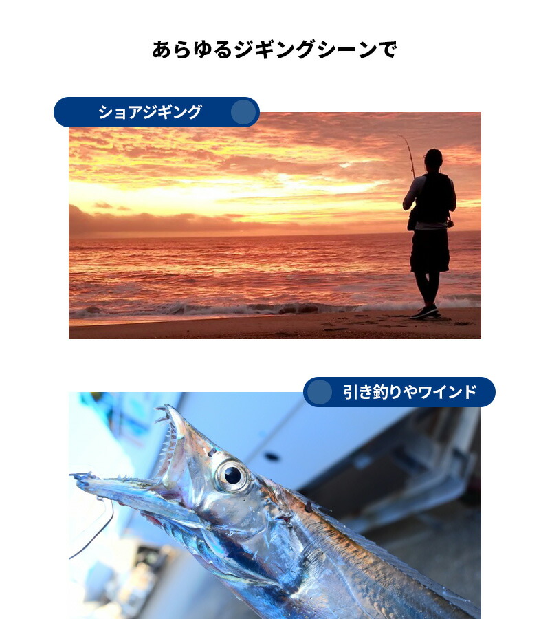 太刀魚 ジギング 2本入り 25cm オフショアジギング サゴシ サワラ ストレート スーパーライトジギング タチウオ チタンリーダー ヒラメ フィッシング リーダー ワイヤー 椚 船テンヤ 釣り糸 半額sale ワイヤー
