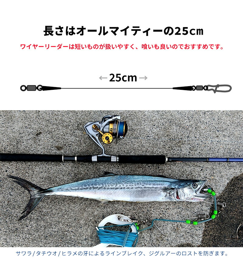 太刀魚 ジギング 2本入り 25cm オフショアジギング サゴシ サワラ ストレート スーパーライトジギング タチウオ チタンリーダー ヒラメ フィッシング リーダー ワイヤー 椚 船テンヤ 釣り糸 65 Off 送料無料 ワイヤー