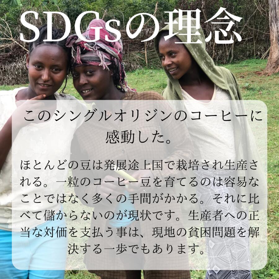 楽天市場 0g エチオピア産シダマ へレフコーヒー 約杯分 送料無料 豆 粉選べます コーヒー豆 スペシャルティコーヒー ゴールドキャッスルコーヒー 珈琲 自家焙煎 モカ Gold Castle Coffee Online