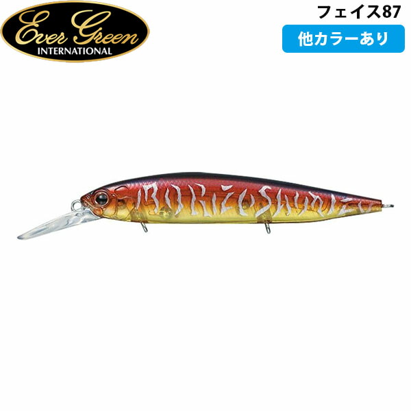楽天市場】○エバーグリーン EVERGREEN ゼファー アバンギャルド