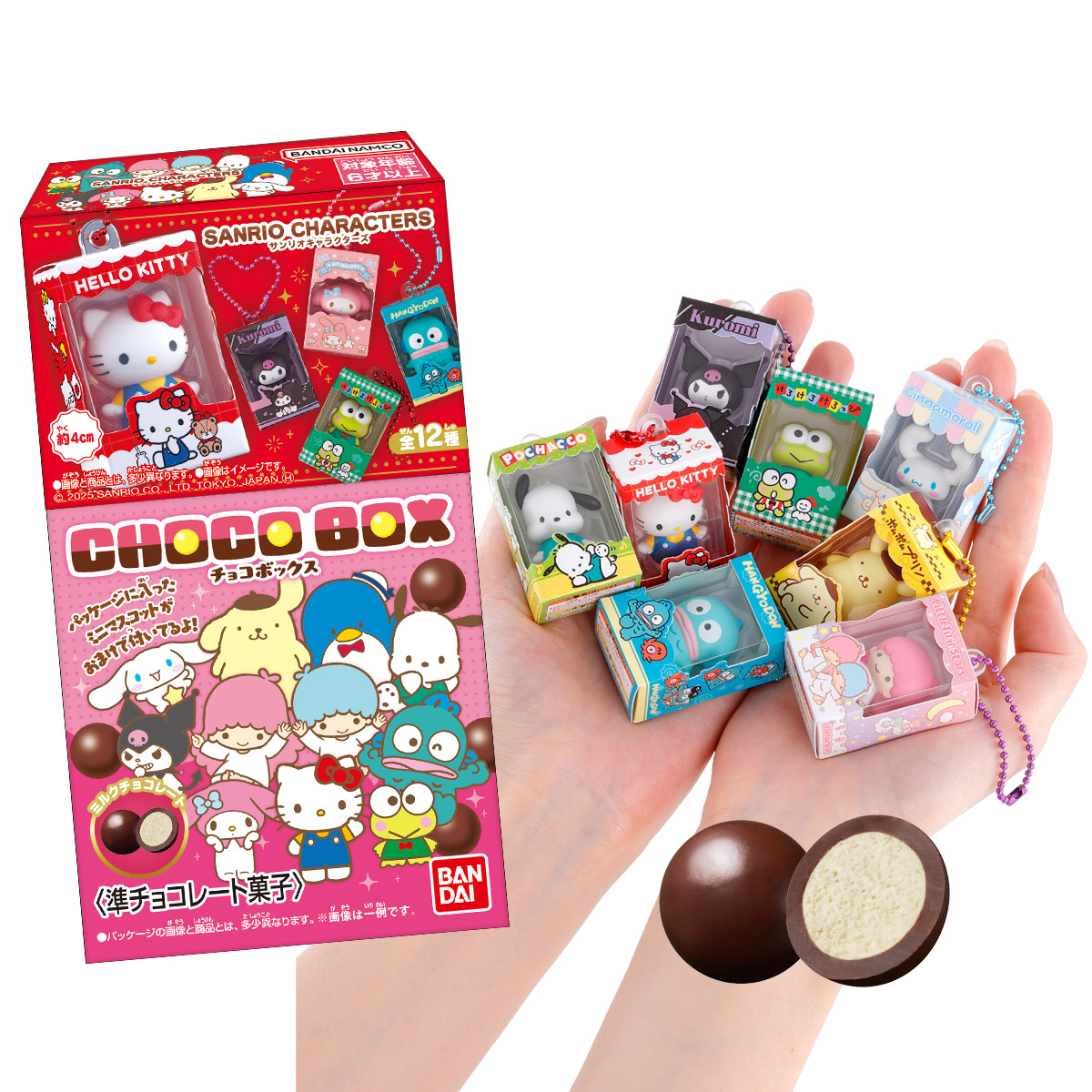 予約商品 7月発売予定 】 ※ランダム※ サンリオキャラクターズ
