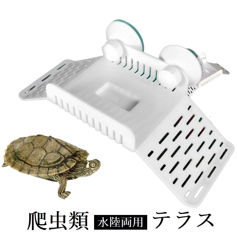 新品アクアリウム浮き島水槽桟橋日向ぼっこ台吸盤爬虫類人工芝亀カメ爬虫類かめ浮き島 楽天市場】亀 カメ 日向ぼっこ台 吸盤式 水槽 カメの浮島 両生類