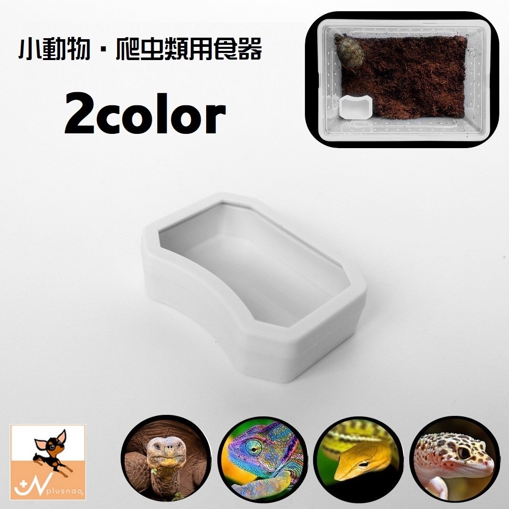 楽天市場】送料無料 小動物用食器 爬虫類用品 ペットグッズ 水