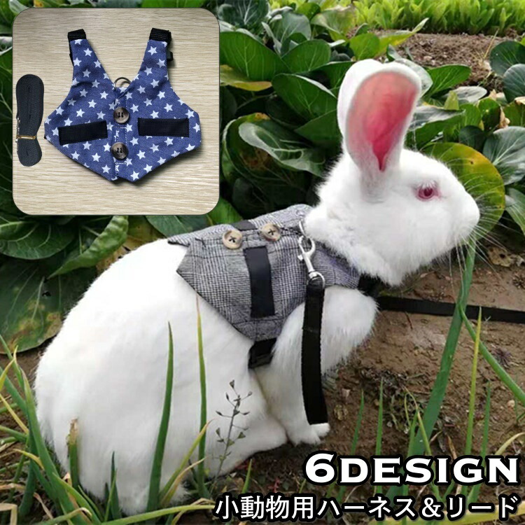 【楽天市場】送料無料 小動物用ハーネス リード 2点セット ウサギ 兎 モルモット フェレット ペットウェア ベストハーネス カジュアル 星柄 花柄 パイナップル 散歩 リード紐 ペットグッズ