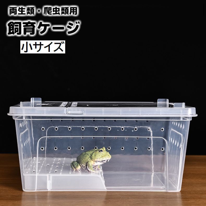 楽天市場】亀 虫 昆虫 飼育ケース アイリス 昆虫 虫かご 幅36.5