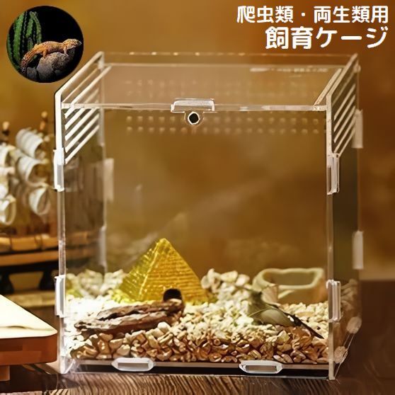 アクリル製飼育ケース Amazon.co.jp: 飼育ケース 爬虫類 ケージ 昆虫飼育ケース 飼育
