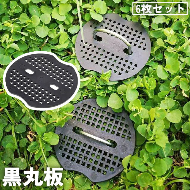 【楽天市場】送料無料 黒丸板 固定板 6枚セット ピン無し 被覆資材押さえ具 防草シート 芝生 庭 人工芝 シート押え 固定具 止め具 園芸 ...