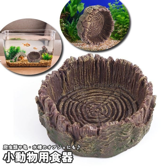 楽天市場】送料無料 小動物用食器 エサ皿 エサ入れ 爬虫類 トカゲ カメ