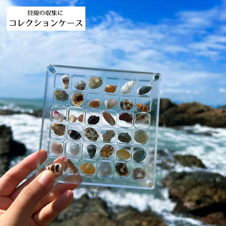 楽天市場】送料無料 コレクションケース ディスプレイ ケース 6段 6列