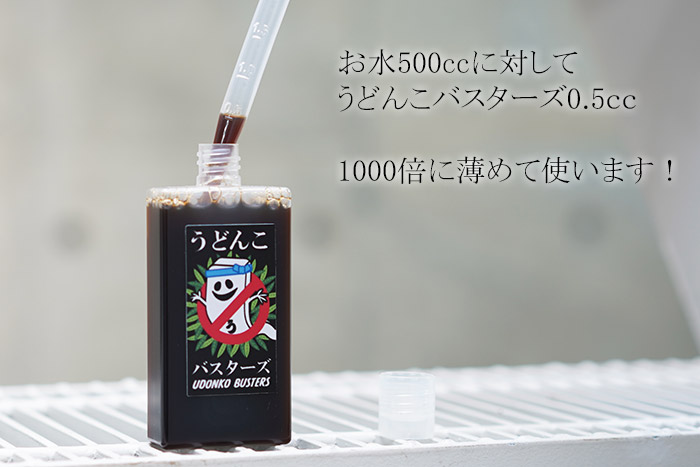 楽天市場 新 濃縮うどんこバスターズ 天然成分 うどん粉病と戦うための強い味方 ゲキハナ 感激安心のお花屋さん