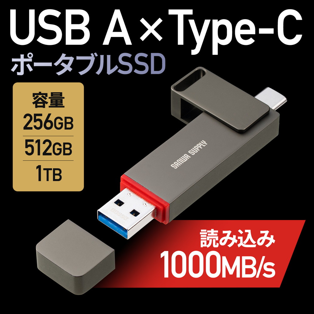 外付けSSD PS5 テレビ録画 USB Type-C コンパクト ポータブル スティック 超小型 アルミ筐体 ガンメタリック EZ6-USSC【ネコポス対応】