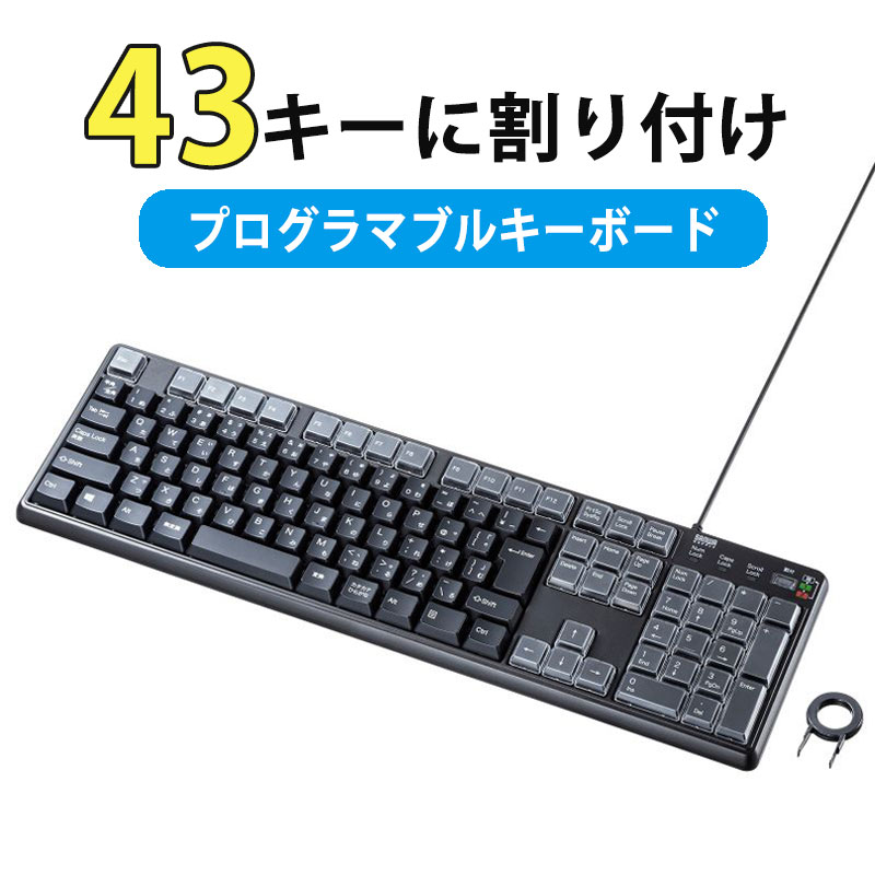 【最大1,000円オフクーポン発行中】キーボード 有線 プログラマブル 43キー 割付 メンブレン ブラック SKB-P1BK サンワサプライ 9,615円