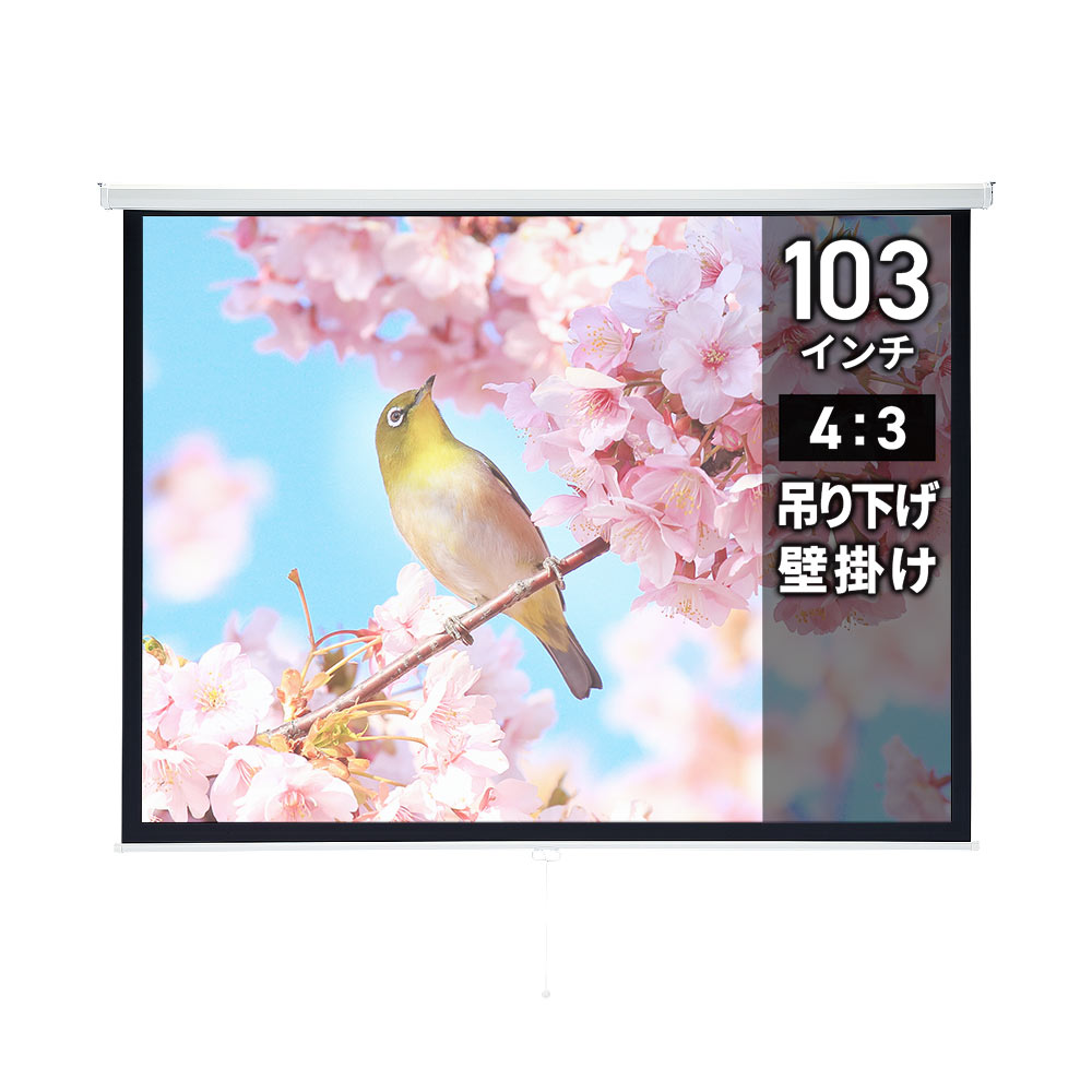 【最大1,000円オフクーポン発行中】プロジェクタースクリーン ロール 103インチ 吊り下げ 天吊り 天井 壁掛け 壁固定 プルダウン式 103型 大型 会議室 プレゼン 学校 ホームシアター おすすめ PRS-TS103 サンワサプライ｜激安アウトレット店