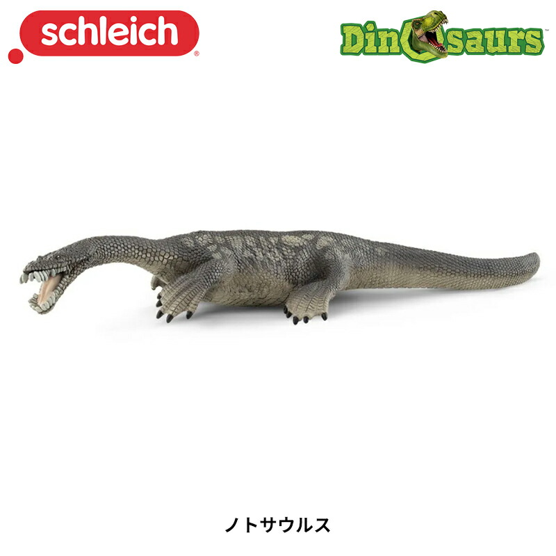 シュライヒ 恐竜 ペンタケラトプス フィギュア 14531 9jupf8b Amazon.co.jp: シュライヒ 恐竜 ペンタケラトプス フィギュア