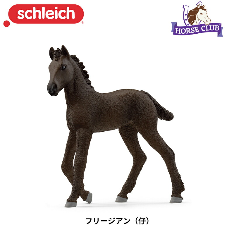 楽天市場】タイマイ 14876 動物 亀 カメ かめ フィギュア