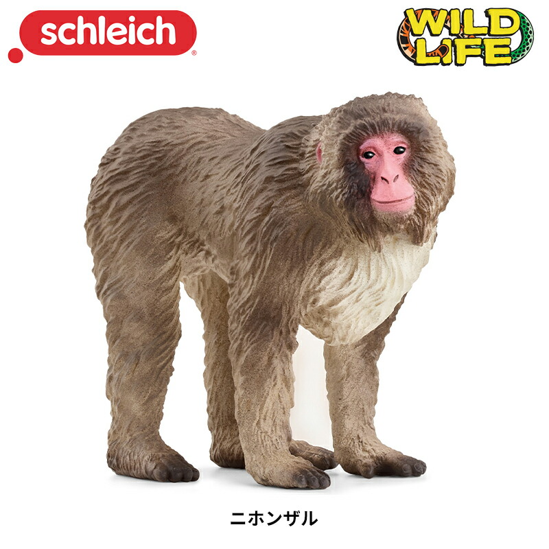 楽天市場】ファームワールドの人気者セット 42386 動物フィギュア Farm