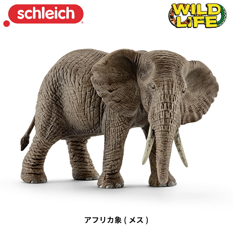 楽天市場】【シュライヒ専門店】シュライヒ アフリカ象 メス 14761