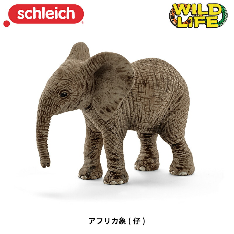 楽天市場】【シュライヒ専門店】シュライヒ アフリカ象 オス 14762