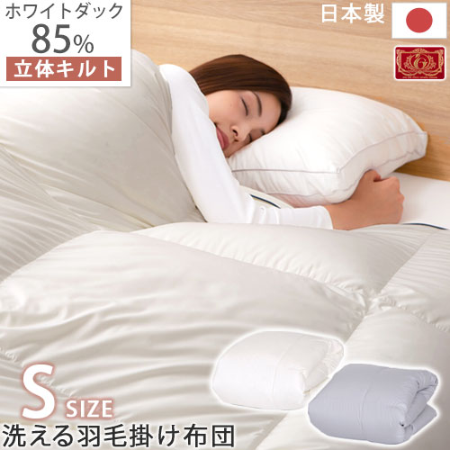 父の日特集 2026
