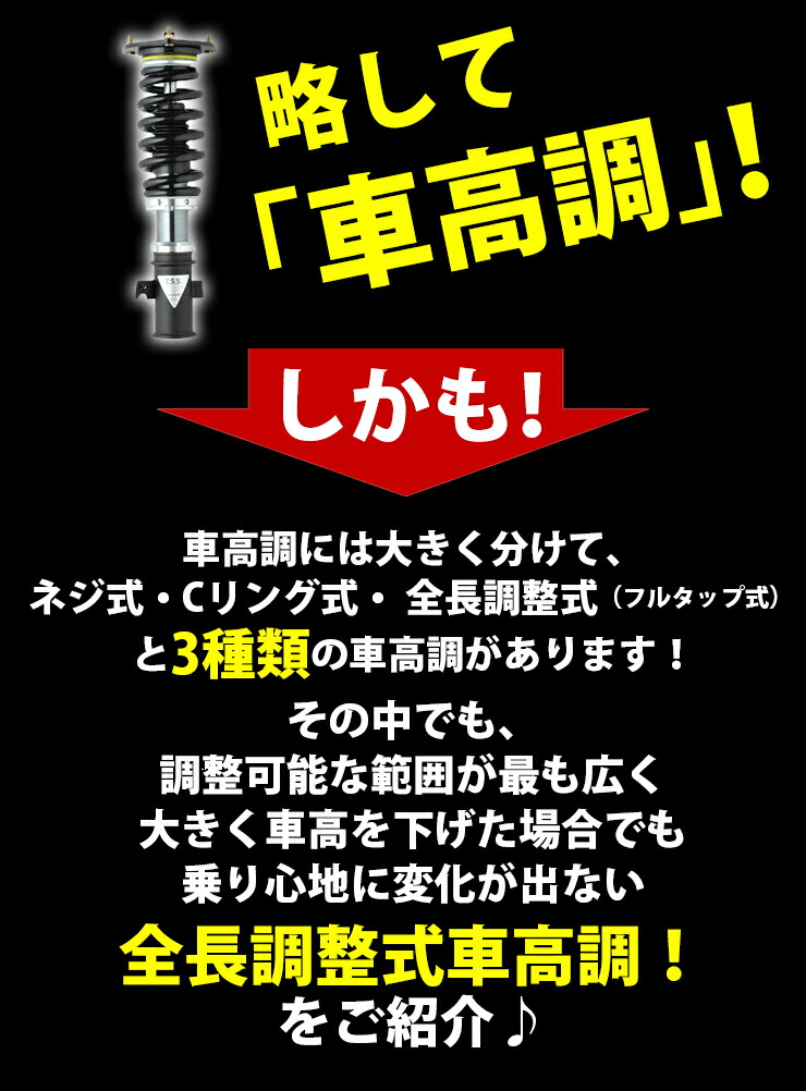 ランエボ 10 Cz4a 車高調 ランサーエボリューション 4wd Z S S Rigel リゲル 全長調整式 減衰調整 フルタップ式 Zss Yourarborhome Com