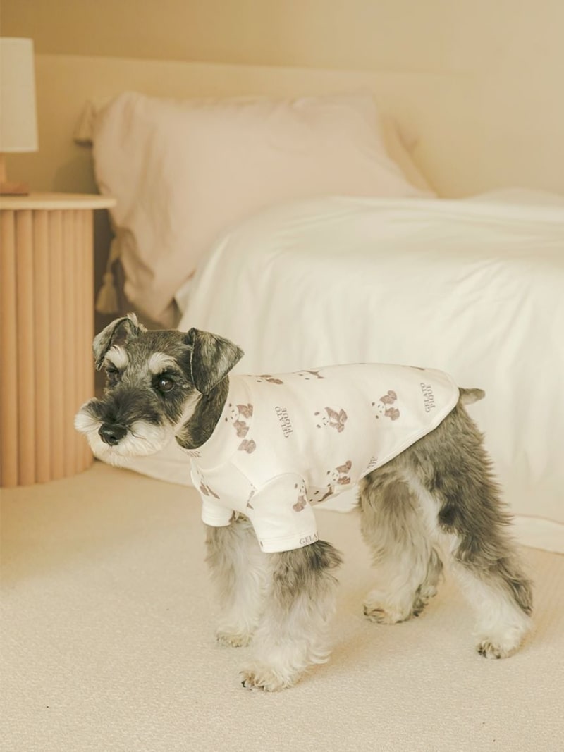 楽天市場】【SALE／30%OFF】【KIDS】トイプードル柄ショート