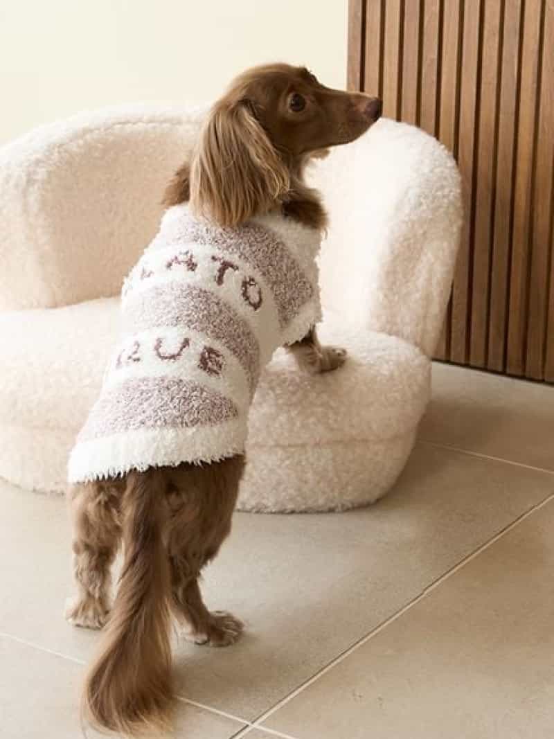 楽天市場】【Sleep】DOG柄 プリント毛布 gelato pique Sleep