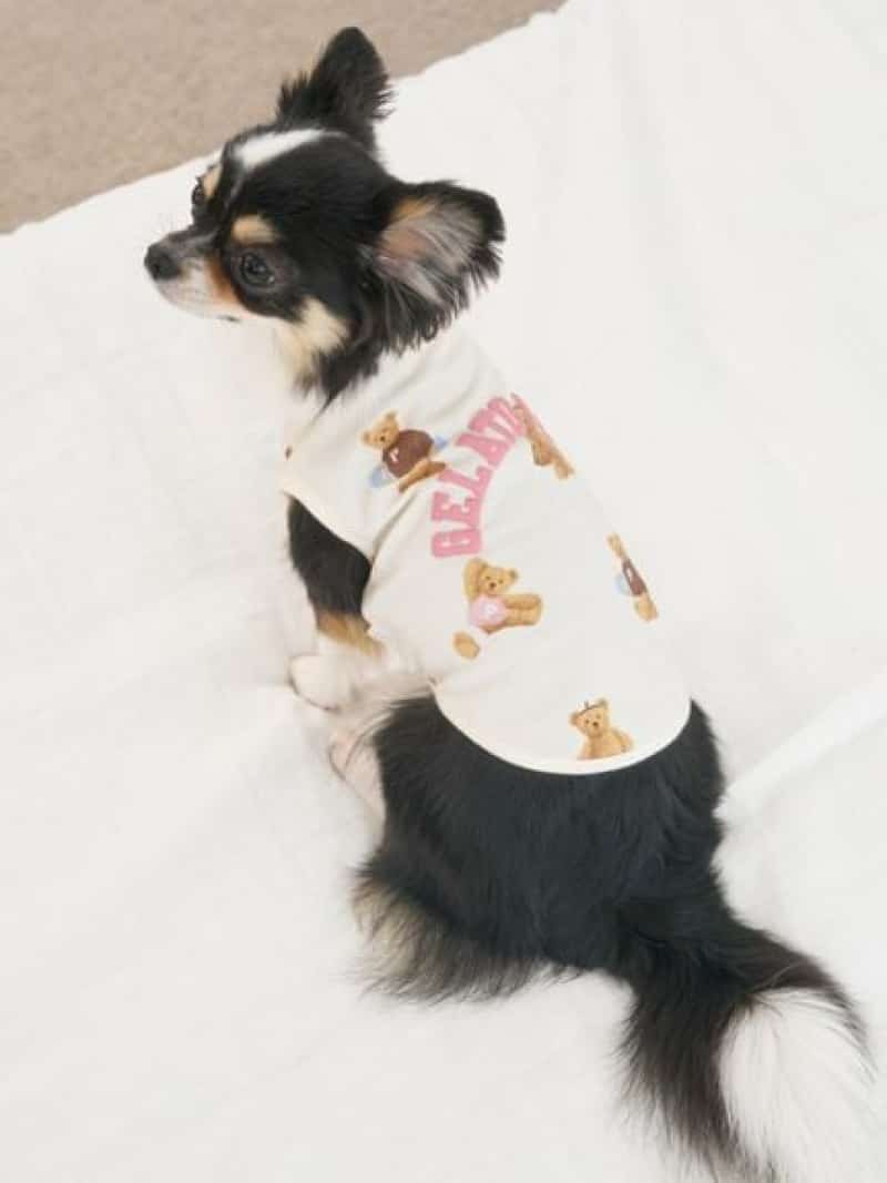 楽天市場】【HOLIDAY】【CAT&DOG】スキーベア柄カットソー GELATO