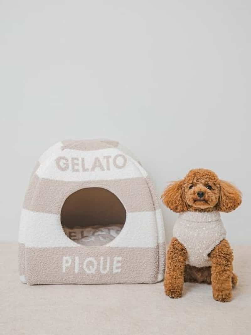 【CAT\u0026DOG】【販路限定商品】ベビモコハウス GELATO PIQUE CAT\u0026DOG ジェラートピケ ペット用品 ペット用ベッド・マット・クッション【送料無料】[ Fashion]