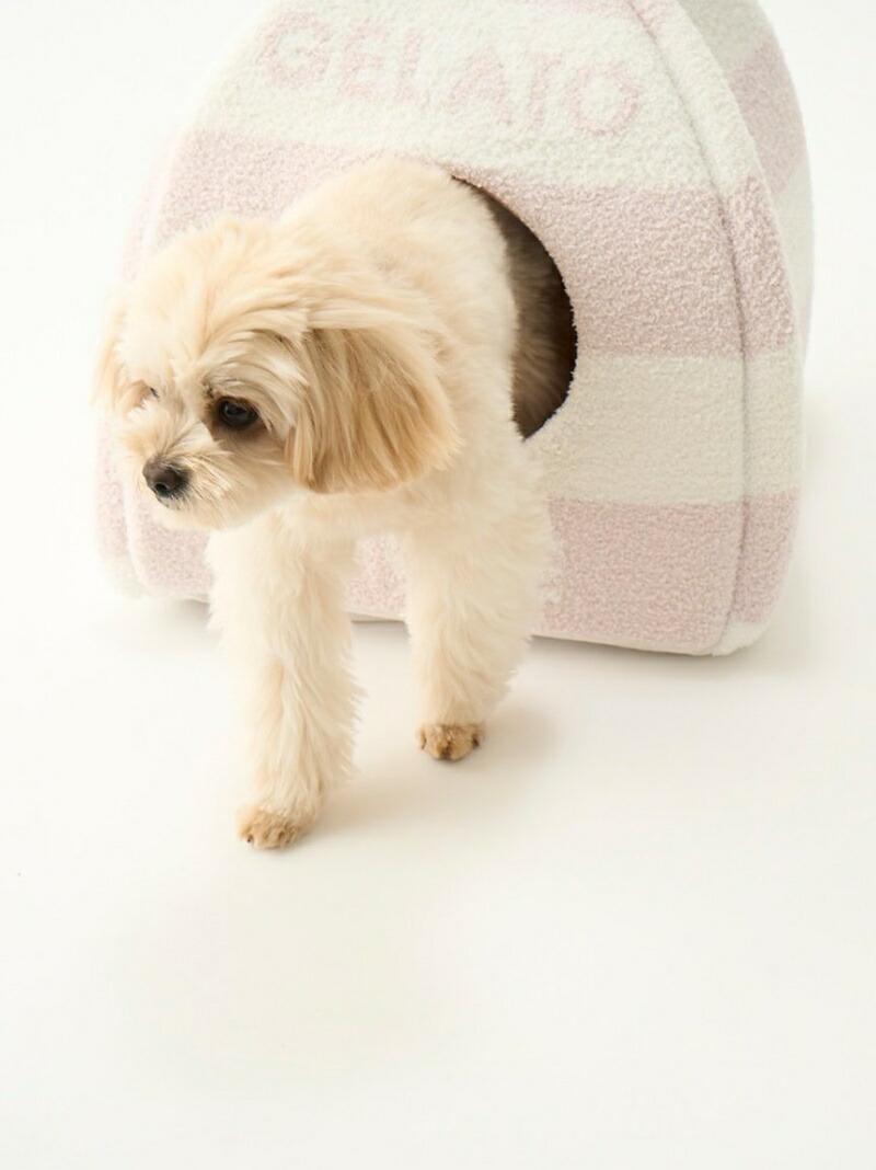 CAT&DOG】ベビモコハウス GELATO PIQUE CAT&DOG ジェラートピケ