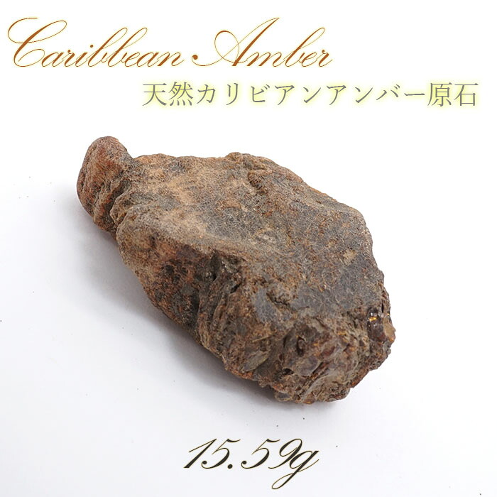 【一点物】天然琥珀 天然カリビアンアンバー 原石 カリブ海周辺産 ゴールド 植物の化石 樹脂の化石 長寿 太陽 天然石 パワーストーン カラーストーン｜天然石工房　翡翠