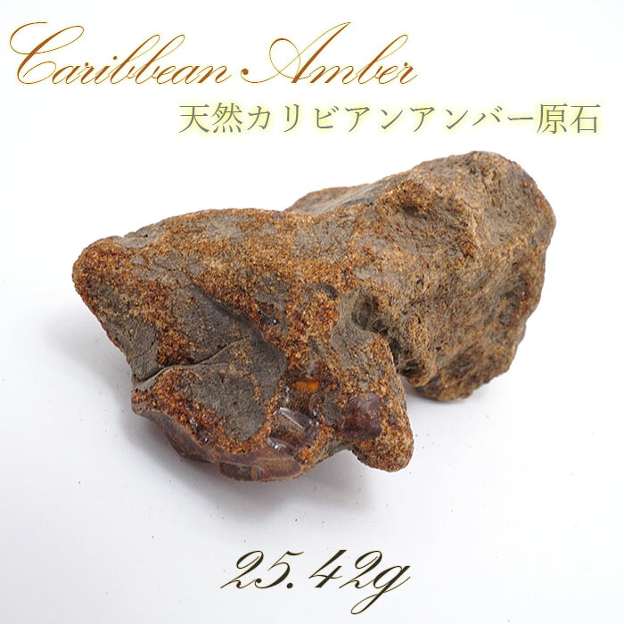 【一点物】天然琥珀 天然カリビアンアンバー 原石 カリブ海周辺産 ゴールド 植物の化石 樹脂の化石 長寿 太陽 天然石 パワーストーン カラーストーン|天然石工房 翡翠