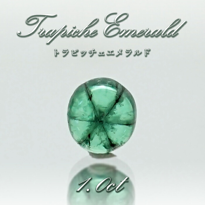 楽天市場】【21日までXmas限定・厳選20％OFF+楽天ポイント】トラピッチ