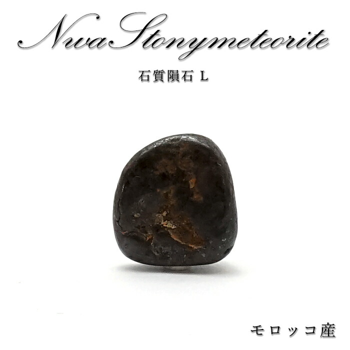 石質隕石モロッコ産炭素系コンドライト 楽天市場】【 一点物 】 NWA 石質rare隕石 モロッコ産 石質rare
