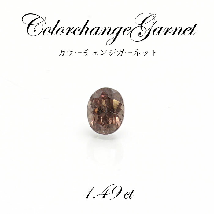 楽天主義大規模スーパーsale 30 ルース つまみもの 色合い改易ガーネット ガーネット ルース 1 49ct Colorchangegarnet タンザニア設立 生れ付き石塊 力強さ石塊 翡翠 かわせみ Cannes Encheres Com